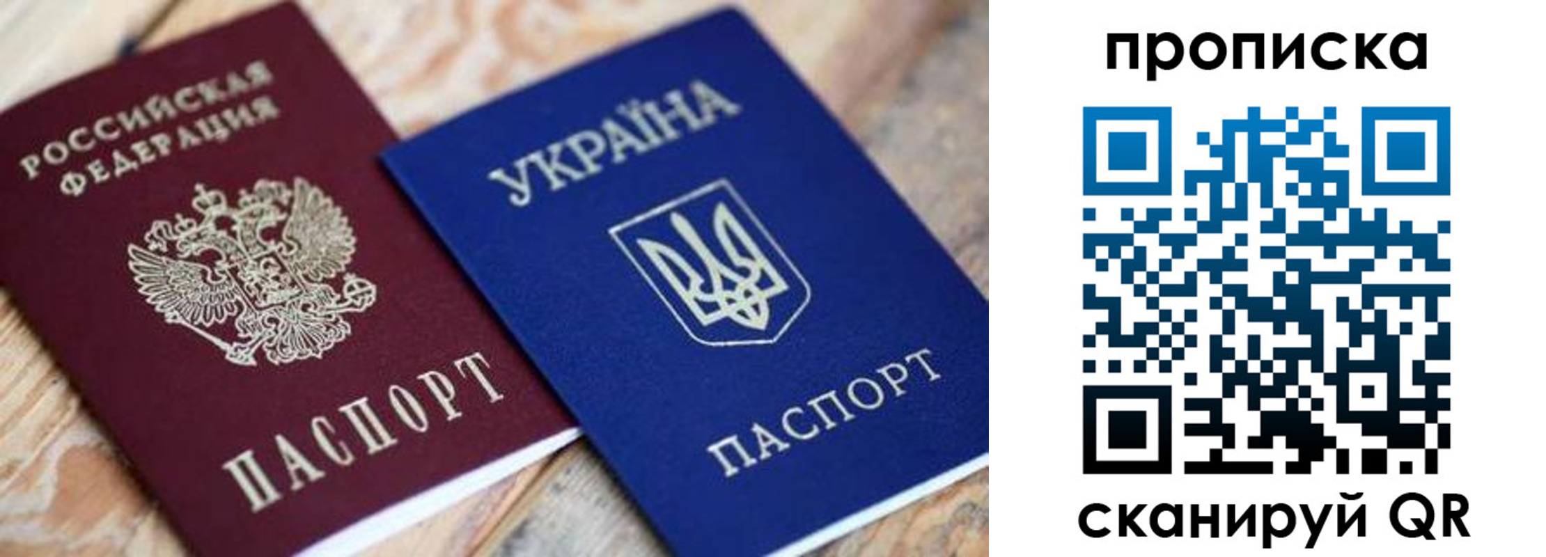 прописка поиск в Ершове